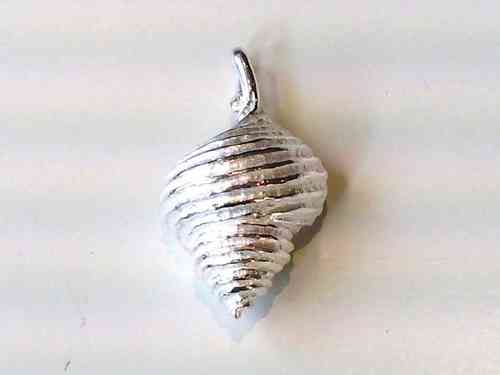 Large Seashell Pendant
